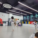 초롱태권도장 이미지