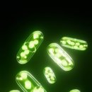 제천약국 이미지