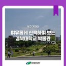 경북대학교박물관 이미지