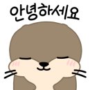 동탄동물병원 이미지