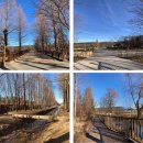 거송축산 | 경주여행, 경주 1박 2일 가성비 여행 경로 '리버틴호텔/여미온/월정교/거송갈비찜/천년의 숲'