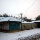 홍동면사무소앞 이미지