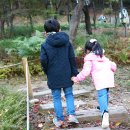 김사인의 ＜오누이＞ 이미지