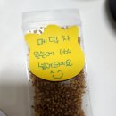 봉평맛지기 티스토리