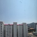한선파라타운 이미지