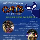 가족뮤지컬 어린이캣츠 이미지