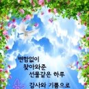 정은유통