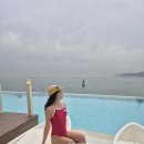 솔리드디자인 | [바다 호캉스 수영복 추천] 솔리드 입문으로 좋은 애디블 수영복 S 후기