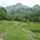 장안사4(주차장) Daum카페