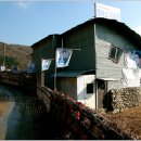 엘비스 클럽 이미지