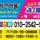 죽도 건어물수산 이미지