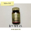 큰솔가 | 솔가 철분제 25 출산 후 어지럼증, 육아맘 내돈내산 솔직 후기