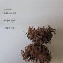 ﻿봉주연 – 주소력(住所歷) / 수상소감과 심사평 간략 – 봉주연, 박상수⋅이혜미 이미지