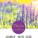 빛온디자인