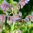 연남약국 이미지