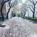 6단지와 별양동주택 사잇길 이미지