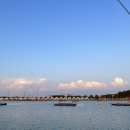 영흥바다낚시터 이미지