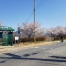 고인돌1 이미지