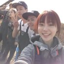 룸메이트 네이버블로그