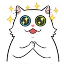 차지우동물병원 이미지