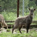 자연에 품 이미지