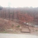 용화산막국수 이미지