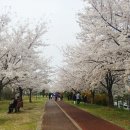 동명공업고등학교 이미지
