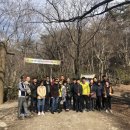 청춘여행사