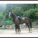 화이트밸리 이미지