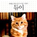 듀이 - 동구 화진길 125 | 듀이