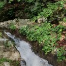 자연향기민박 이미지