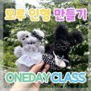 대구 모루인형 원데이 클래스 달성군 공방