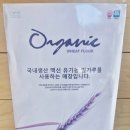 기타 | 양산물금대형카페 브레밋 양산 샌드위치 카페 추천