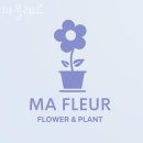 플레르나 이미지