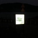 제주늘보의오후