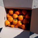 성진농장 이미지