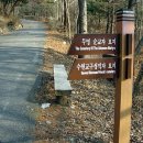 겟세마니 동산 이미지