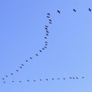 산달도 해안일주길 | 거제도 남부 라이딩(여차 홍포 전망대, 해금강, 구조라, 지세포, 산달도,108km)(26.2.12.)