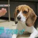 월 이미지