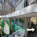 사이숲 안양예술공원점 이미지