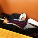 스시와다 이미지