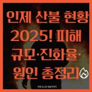 🔥 인제 산불 현황 2025! 피해 규모·진화율·원인 총정리