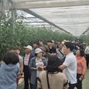 부안군농업기술센터 이미지