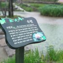 대가연꽃테마공원 이미지