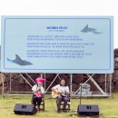 제12회 남방큰돌고래의 날 후기 - 주요 프로그램 이미지