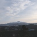 창천목장 Daum카페