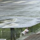 뮤직짱 노래연습장 | 30 이기지 않고서 지지 않는 법이 뭘까요