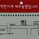 * 칠성꽃시장 제주농원 - 대구화분배달,이쁜화분,고급화분,공기정화식물,전국꽃배달 * 이미지