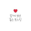 애견풀하우스 이미지