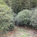 정주권로 이미지